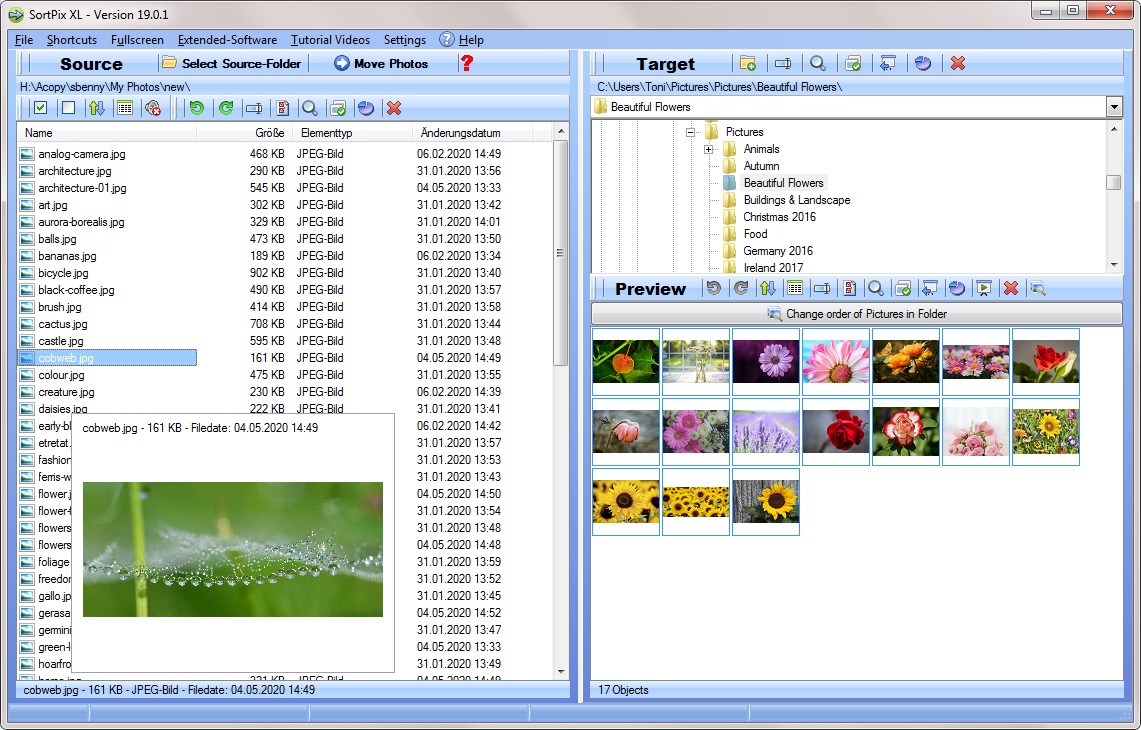 Photo organizing software