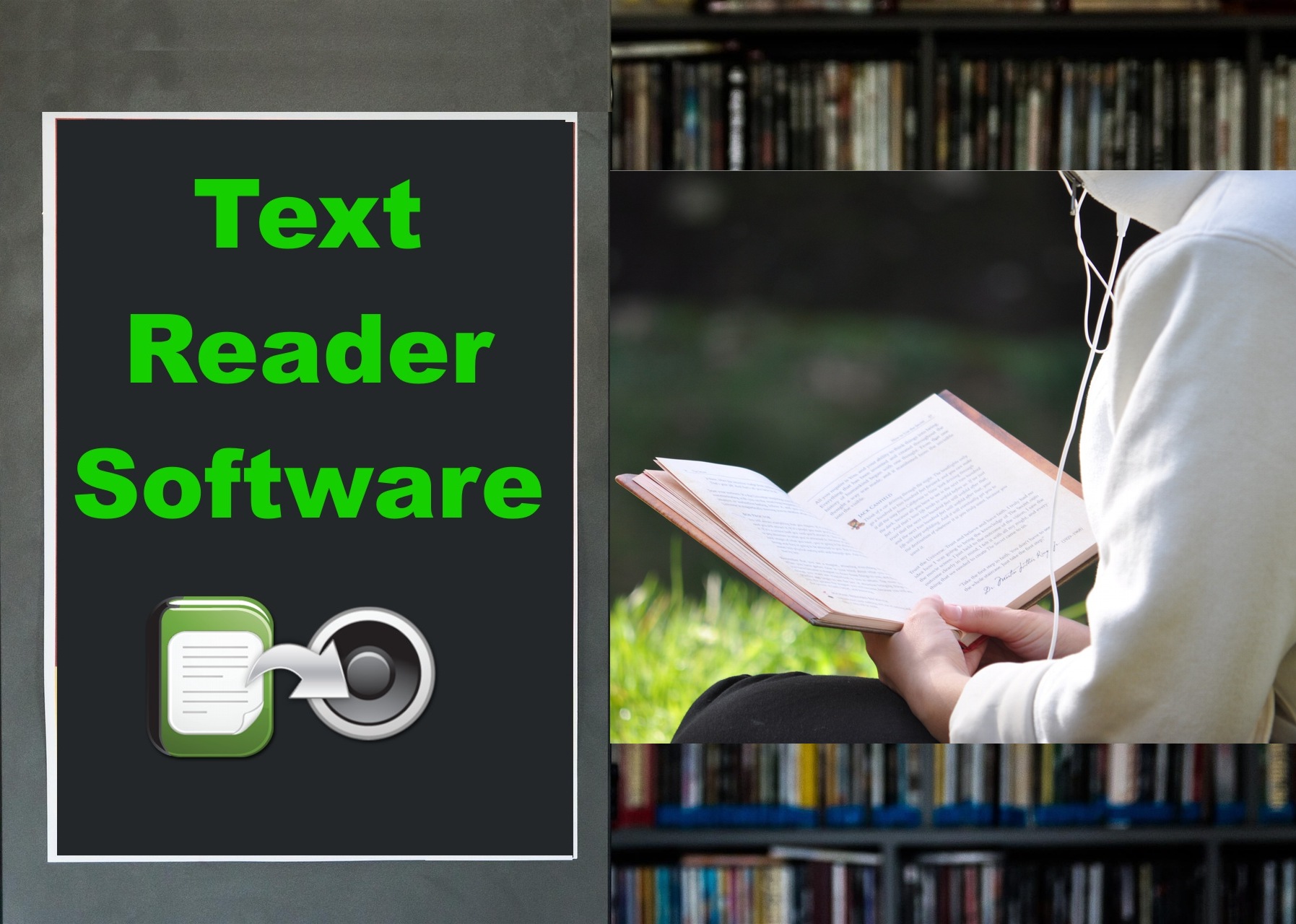 Text Reader Software